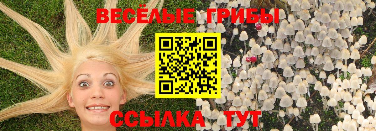 где найти наркотики  Псилоцибиновые грибы мухоморы  Вход с VPN  Нерюнгри 
